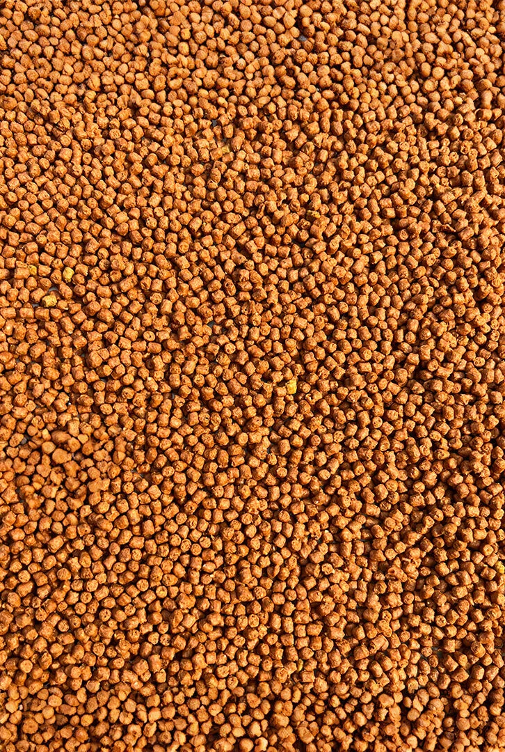 Micro-Pellet-2mm-Mango-Feeder-Bait_[2323]_1200